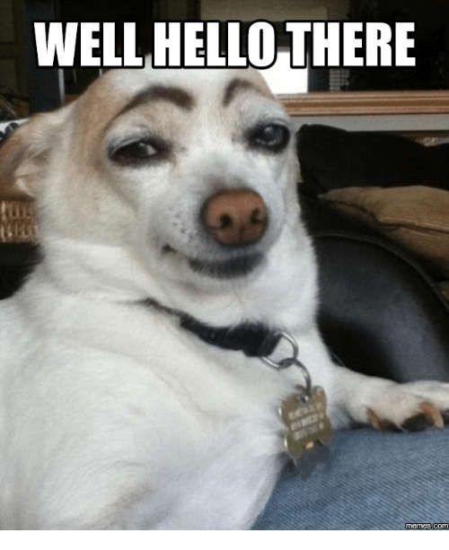 well-hello-there-memes-com-17816304.png